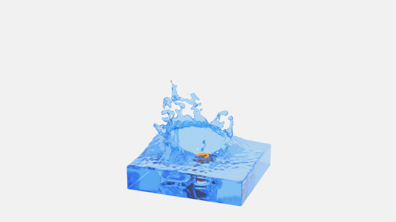 Physics Simulations